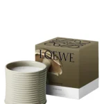 LOEWE Large Mushroom Scented Candle With Four Wicks-2120g Terracotta