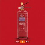 Red 1kg dry powder fire extinguisher with pressure gauge and safety pin