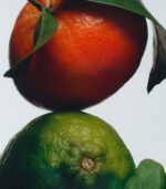 Sleek glass citrus diffuser bottle with 10 black reeds on a minimalist background.