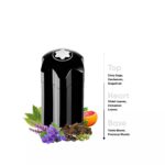 100ml black designer bottle of Montblanc Emblem EDT featuring the iconic star shape.