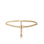 Valentino Garavani VLogo Signature Chain Belt in Antique Gold Brass