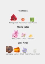 Calvin Klein Euphoria for Women Eau de Parfum 100ml perfume bottle