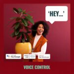 Philips WiZ Portable Wireless Smart Light with App Control