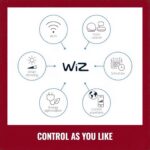 Philips WiZ Portable Wireless Smart Light with App Control