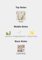 Front view of Narciso Rodriguez Pure Musc For Her 100mL white perfume bottle