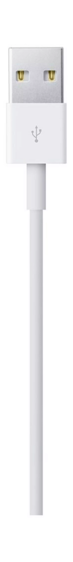 Apple MD818 Lightning to USB Cable (1 meter) in White showing the reversible connector.
