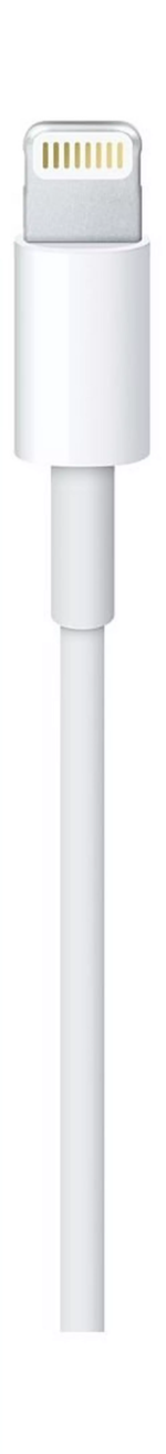 Apple MD818 Lightning to USB Cable (1 meter) in White showing the reversible connector.