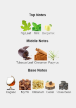 Lalique Ombre Noire 100ml black glass perfume bottle for men and women