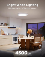 Govee 38cm Smart Ceiling Light Pro H60A6 with RGBICWW backlighting
