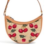 Valentino VLogo Mini Hobo Bag Raffia Cherryfic Multi Colour