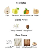 Ex Nihilo Blue Talisman Eau de Parfum - 100mL - Image 3