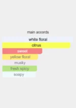 Matiere Premiere Neroli Oranger 100mL bottle showcasing clear glass and minimalist luxury design