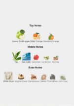 Jaguar Classic Black Eau de Toilette 100 mL bottle with chrome accents for men