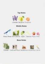 Roberto Cavalli Paradiso Azzurro Eau de Parfum 75ml blue glass bottle for women.