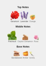 Nicolai Patchouli Intense EDP 100ml elegant glass bottle with gold cap and classic labeling