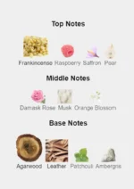 Gucci Intense Oud 90 ml black glass bottle with heavy gold cap and elegant gold lettering