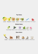 Cream and gold bottle of Nishane Ani X Extrait de Parfum 100ml