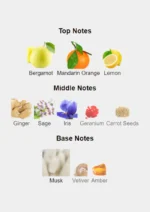 Amorino Black Essence Unisex EDP 100mL bottle showcasing elegant black packaging