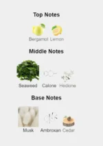 Orto Parisi Megamare 50ml bottle with weathered metallic cap and sea-green liquid