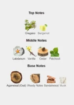 Vertus Paris Ombre 100ml EDP bottle with elegant square design and gold-toned detailing