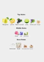 Armaf Club de Nuit Sillage 105 mL silver bottle unisex fragrance