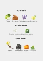 Afnan 9pm for Men 100ml Eau de Parfum sleek dark bottle with silver accents