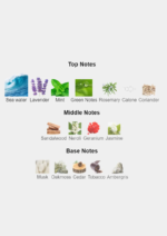 Blue bottle of DAVIDOFF Cool Water Eau de Toilette 125ml for men