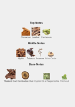 Luxury bottle of Xerjoff Oud Stars Luxor EDP 50ml with golden details