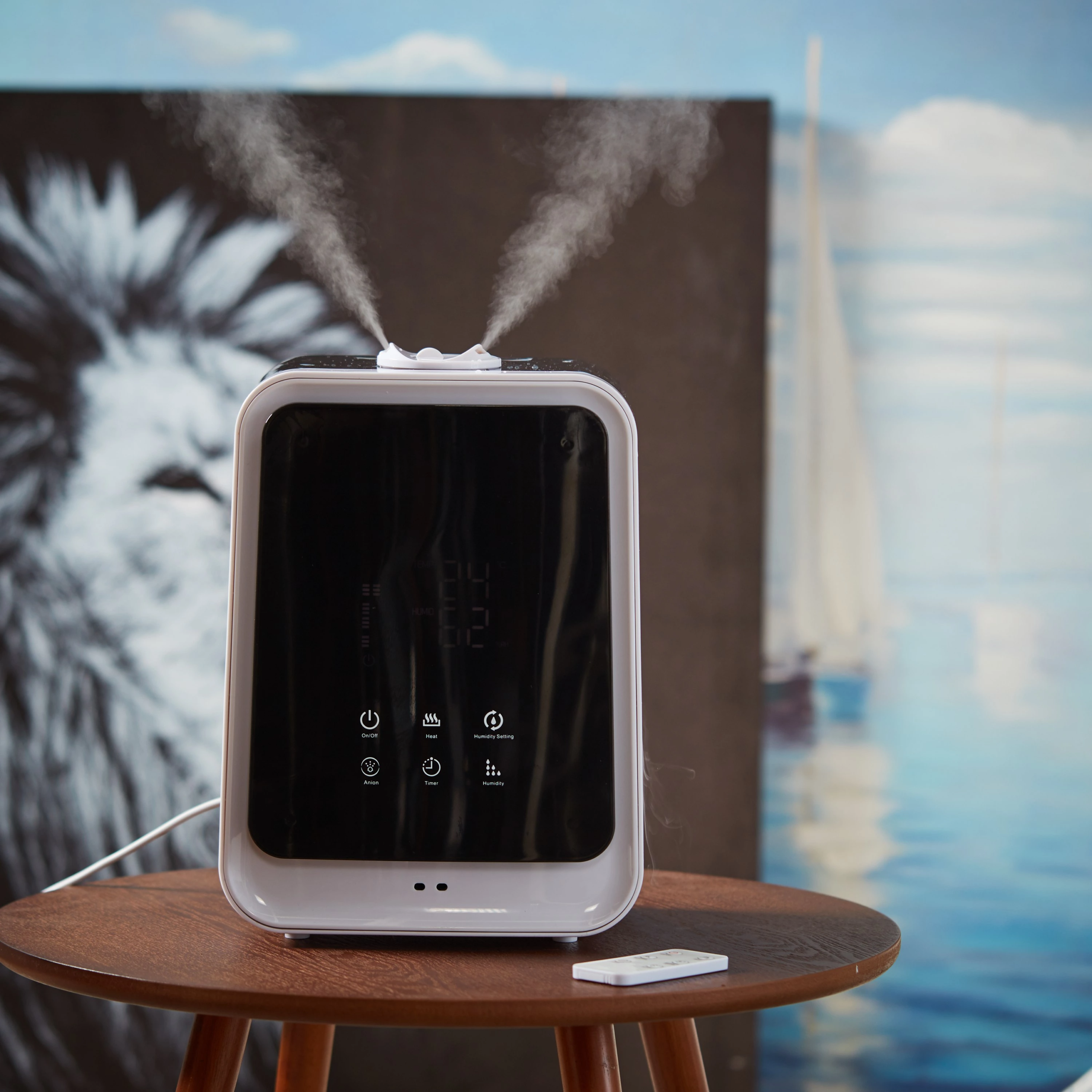 Humidifier Ionizer