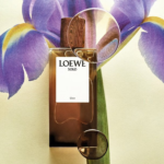 Loewe - Solo Elixir Eau de Parfum (100ml) - Image 3