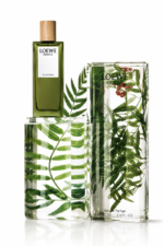 ⁦Loewe - Esencia Eau de Parfum (100ml)⁩ - الصورة ⁦3⁩
