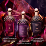Guerlain - Absolus Allegoria Tabac Sahara Eau de Parfum (125ml) - Image 4