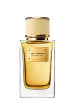 ⁦Dolce & Gabbana Velvet Honey Santal Eau De Parfum (100ml)⁩ - الصورة ⁦2⁩