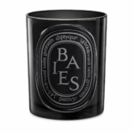 Diptyque – Medium Baies Candle (300g) - Image 3