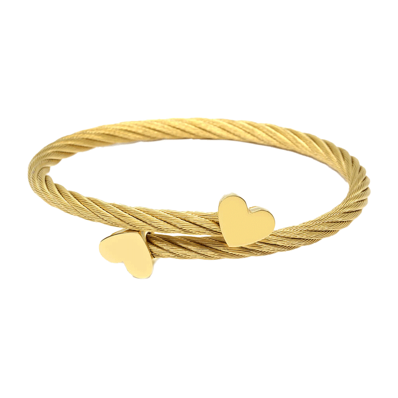 Bracelet Charriol Bashwn- Bracelet Women's Stainless Steel