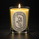 Diptyque – Citronnelle Classic Candle (190g) - Image 2