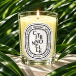 Diptyque – Citronnelle Classic Candle (190g) - Image 3
