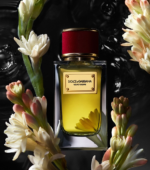 Dolce & Gabbana - Velvet Desire Eau de Parfum (100ml) - Image 5