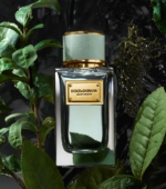 Dolce & Gabbana – Velvet Infusion Eau de Parfum (100ml) - Image 4